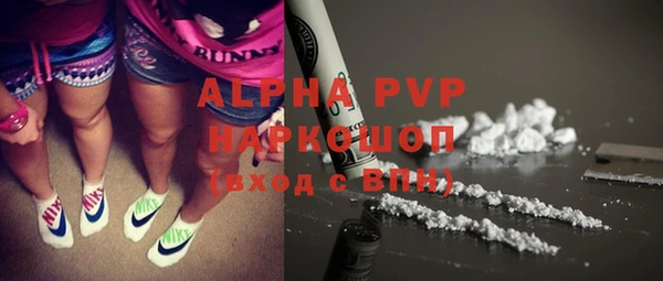 apvp Горняк